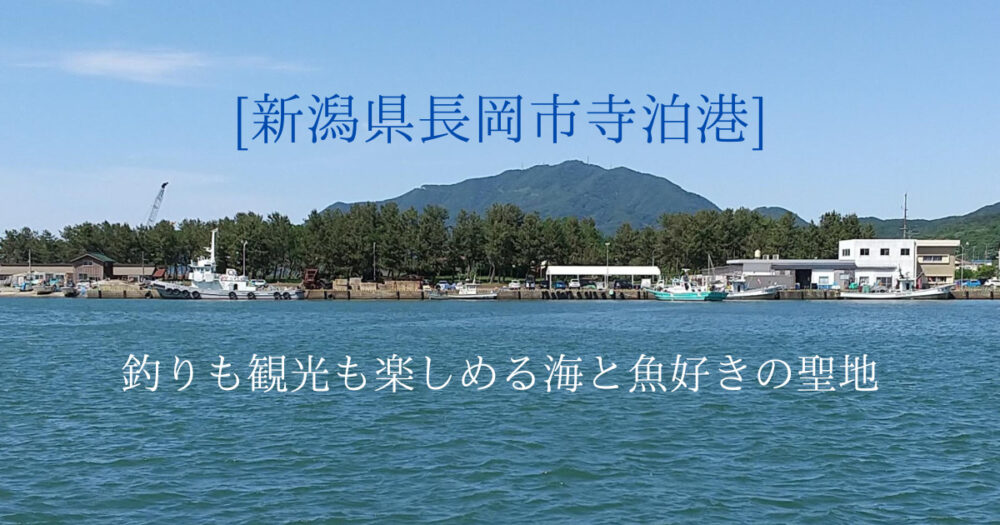 [新潟県長岡市寺泊港]釣りも観光も楽しめる海と魚好きの聖地