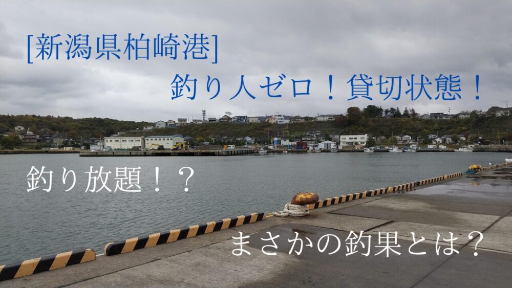 人気の釣り場が貸切状態！柏崎港で釣り放題のはずが...まさかの釣果！